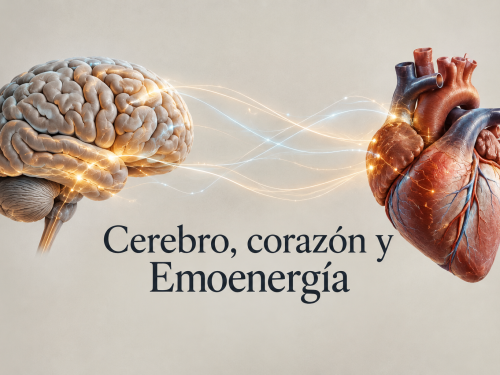 Cerebro, corazón y Emoenergía